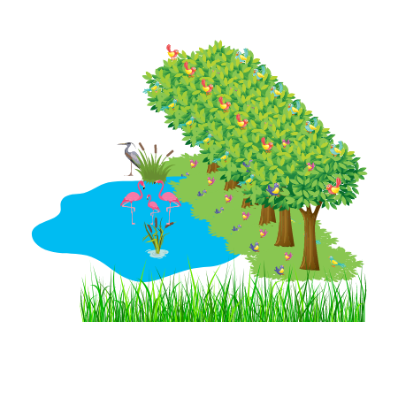 Bird Sanctuary