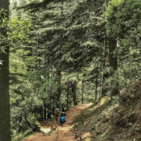 imVisit Binsar Sanctuaryage