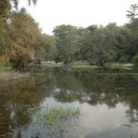 imWildlife safariage