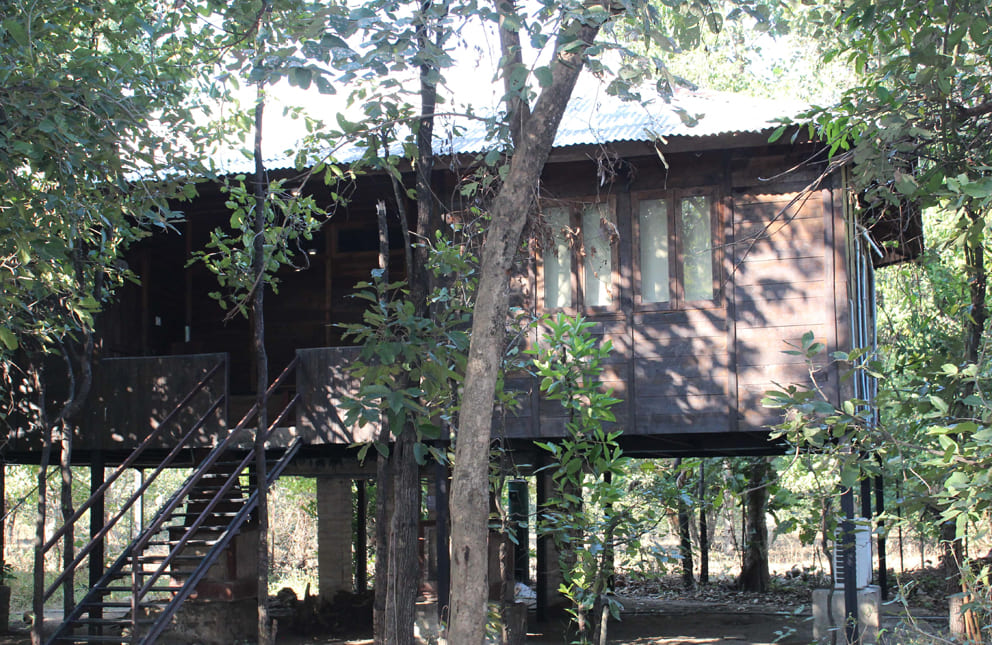 experience-forest-living-pench