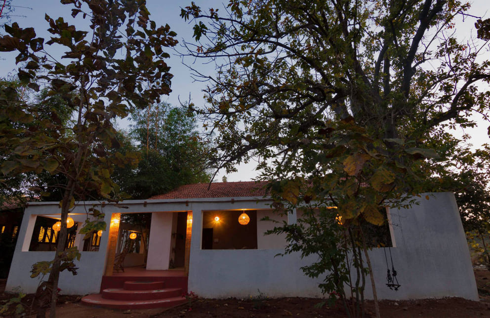 home-in-the-wild-pench