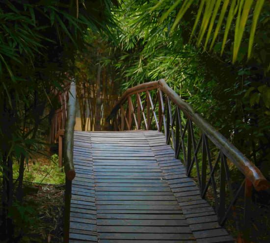 ecoplore-hotels