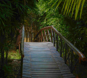 home-in-the-wild-pench
