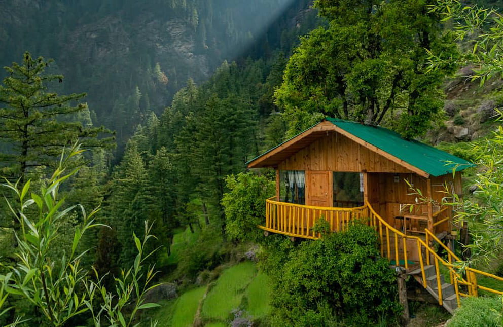 tree-house-jibhi