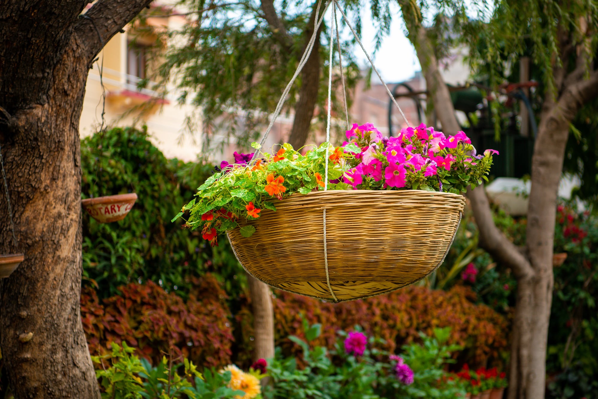Weekend-getaways-near-Delhi