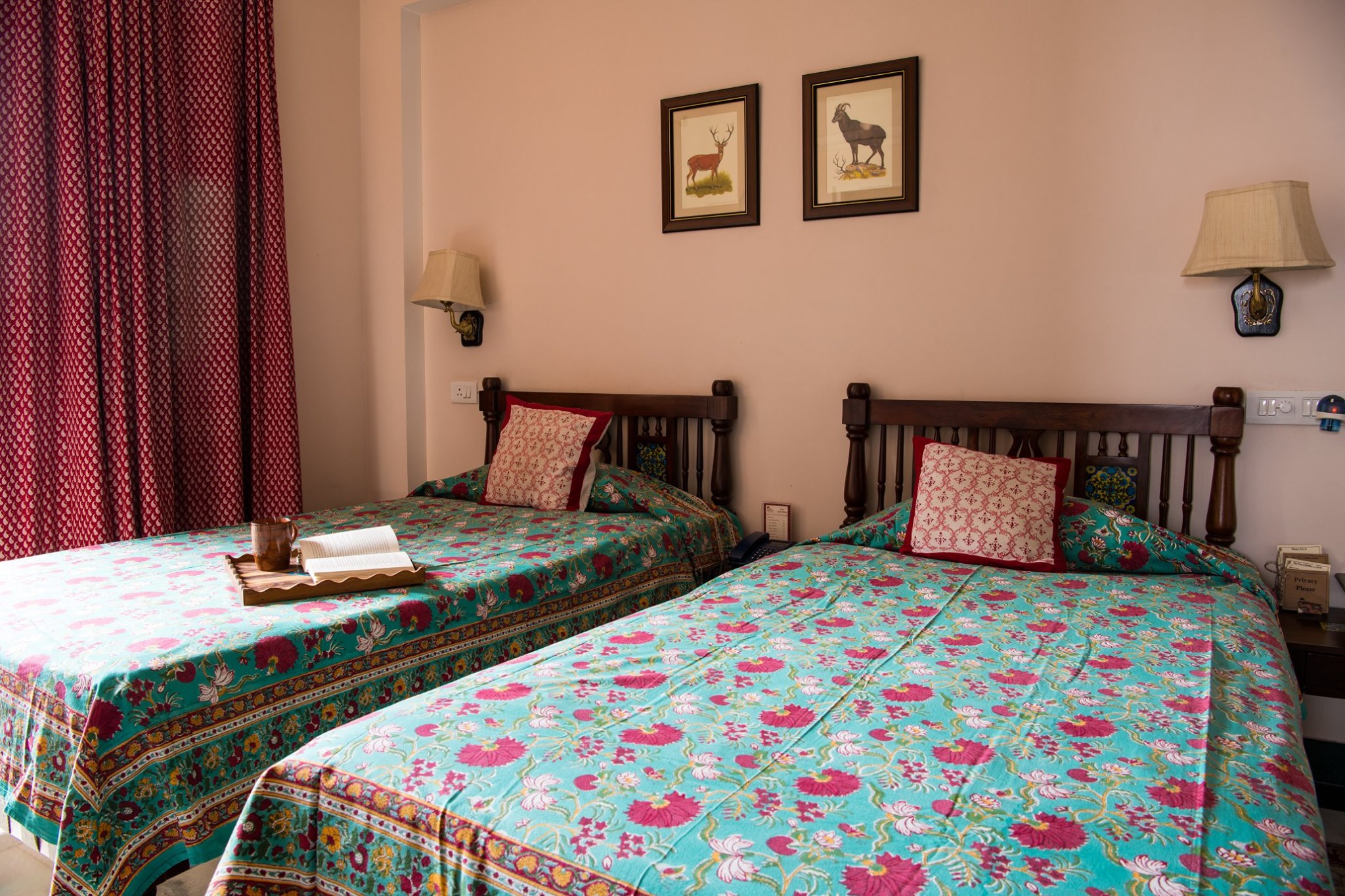 Clean-hotels-in-Jaipur