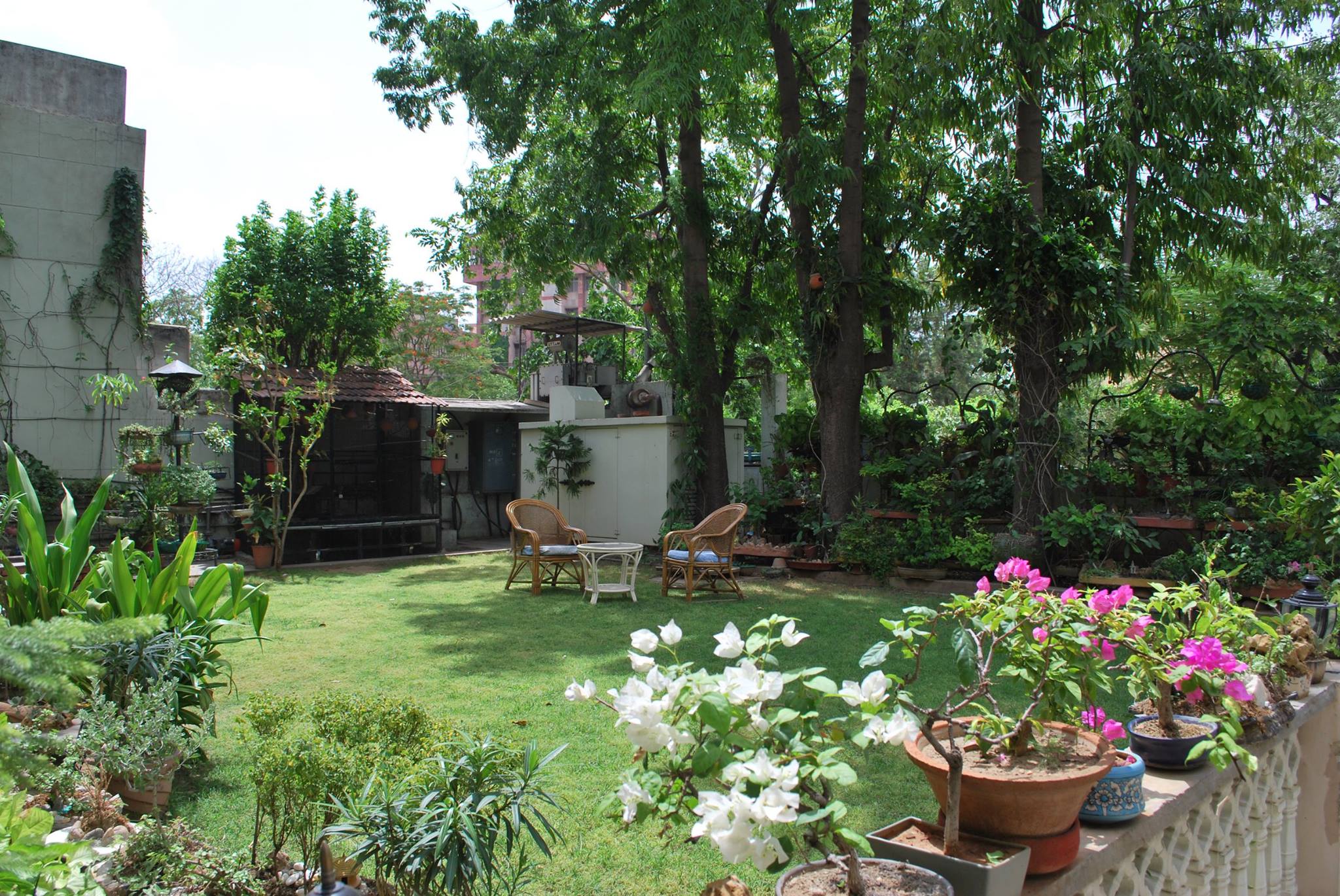 Eco-hotels-in-Rajasthan_ecoplore