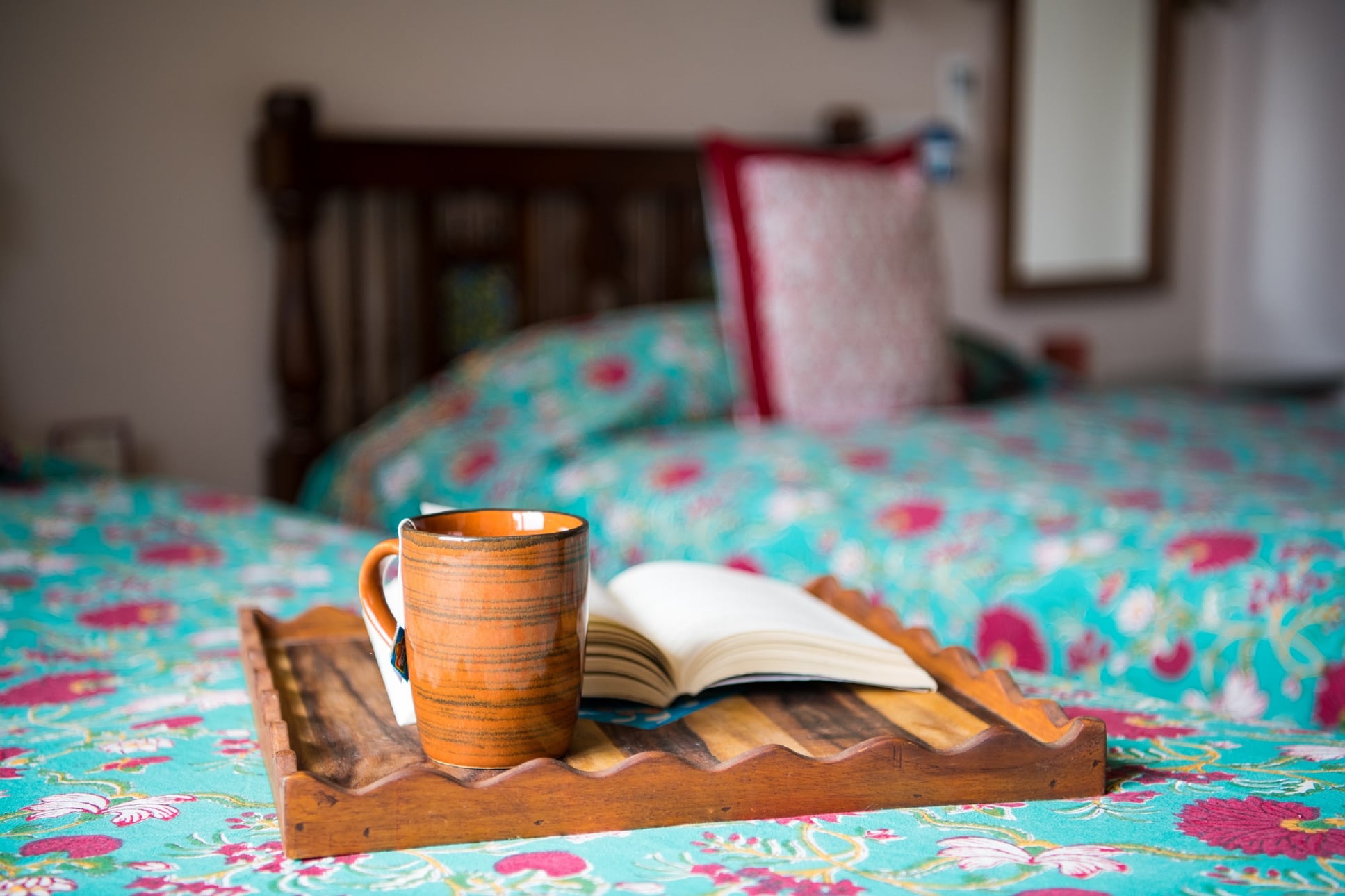 Ecoplore-hotel-in-Jaipur