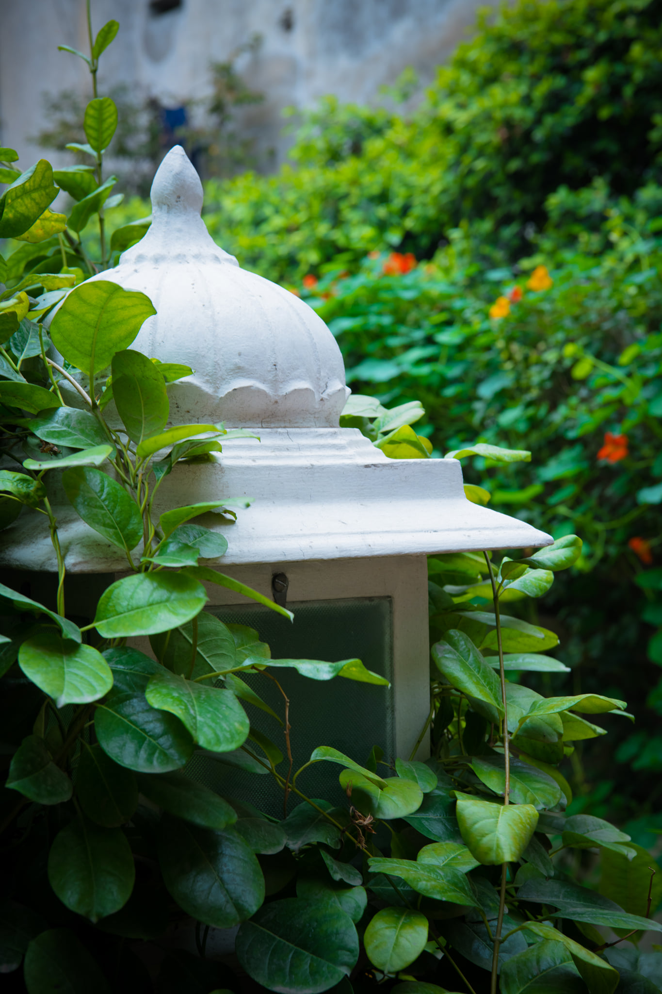Heritage-hotels-near-Delhi_ecoplore